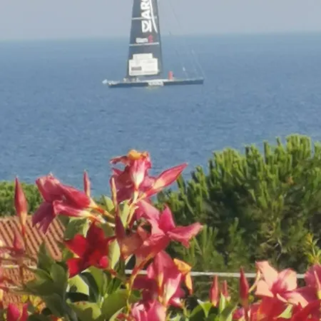 Casa vacanze Bruno Le Palme Di Riace Riace Marina