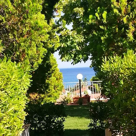 Le Palme Di Riace 3 *