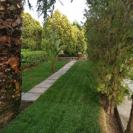 Le Palme Di Riace Riace Marina