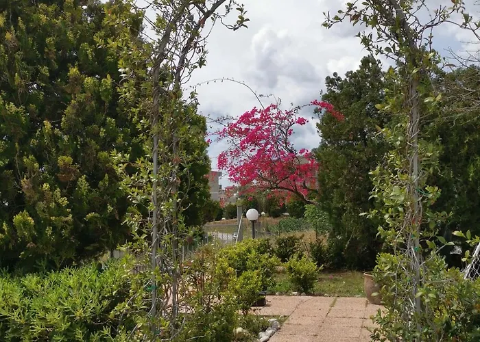 Le Palme Di Riace 3 リアーチェ・マリーナ