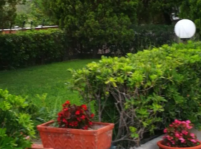 Le Palme Di Riace 3 *